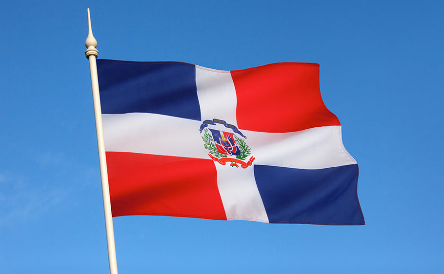 El Permiso de Conducir en la República Dominicana: ¿Se puede conducir con una licencia extranjera?