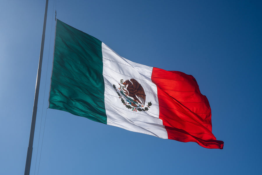 ¿Puedo conducir a México sin pasaporte?