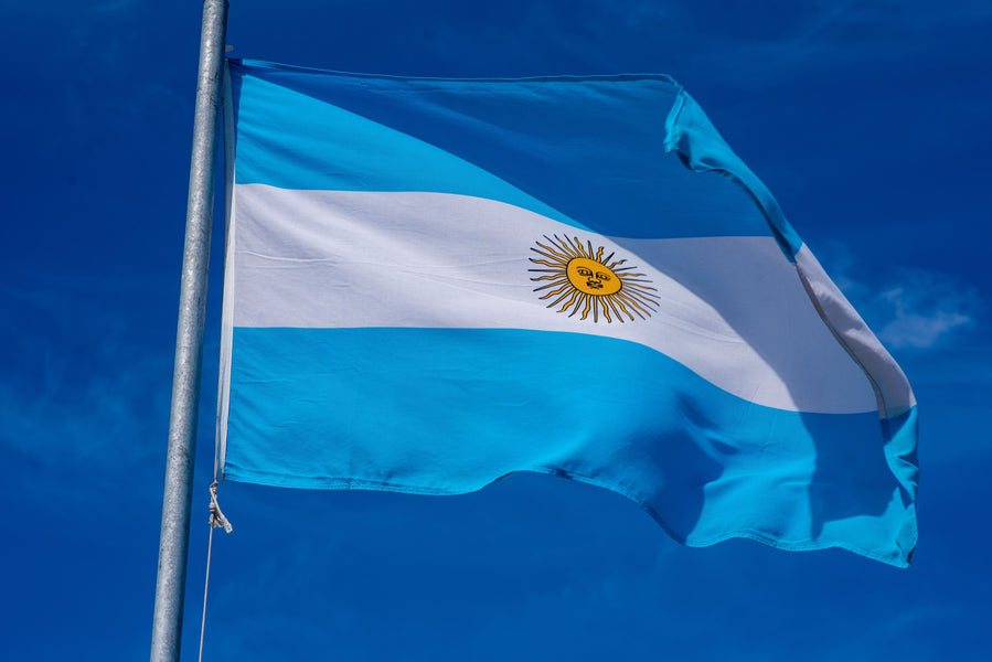 Cómo conducir en Argentina: Guía para viajeros internacionales