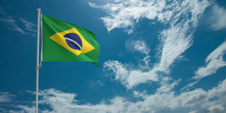 Permiso de conducir en Brasil: Guía esencial para viajeros internacionales