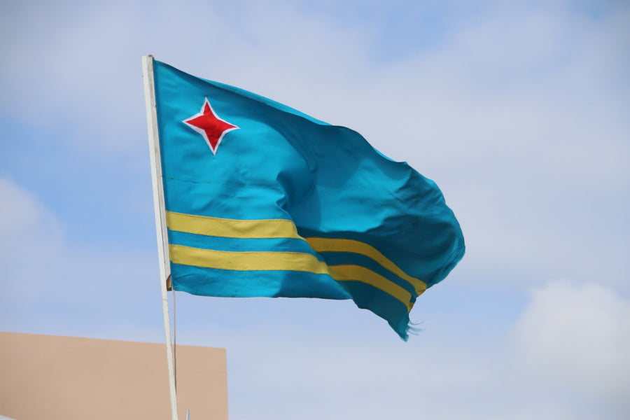¿Puedo conducir sólo con un permiso de conducir extranjero en Aruba?