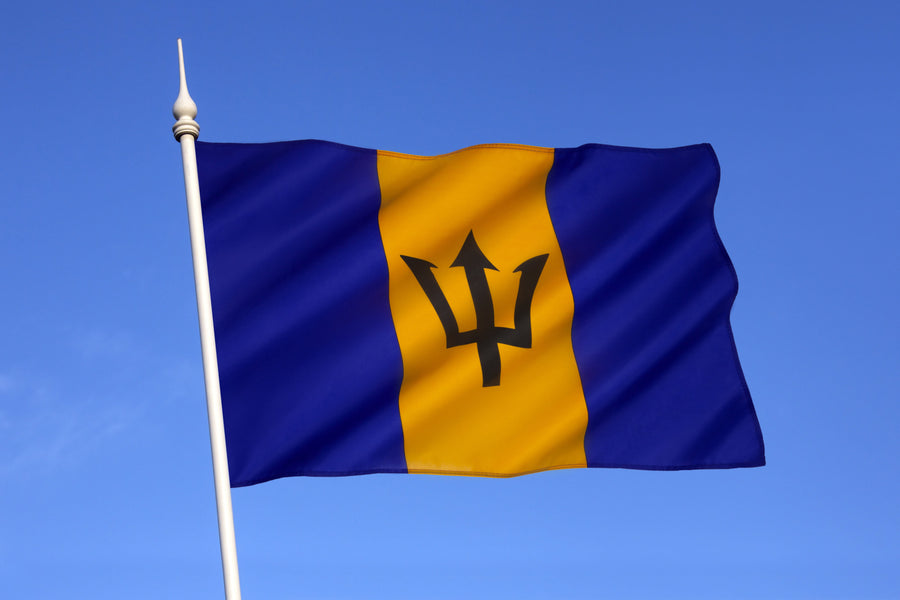 ¿Se puede conducir en Barbados con un permiso extranjero?