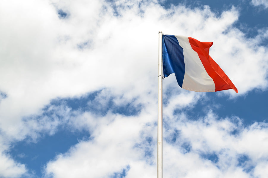Conducir en Francia con carné de EE.UU.: Guía completa