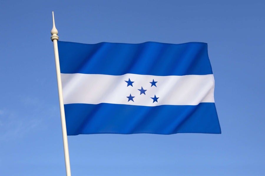 Licencia de conducir en Honduras: Lo que los viajeros internacionales necesitan saber
