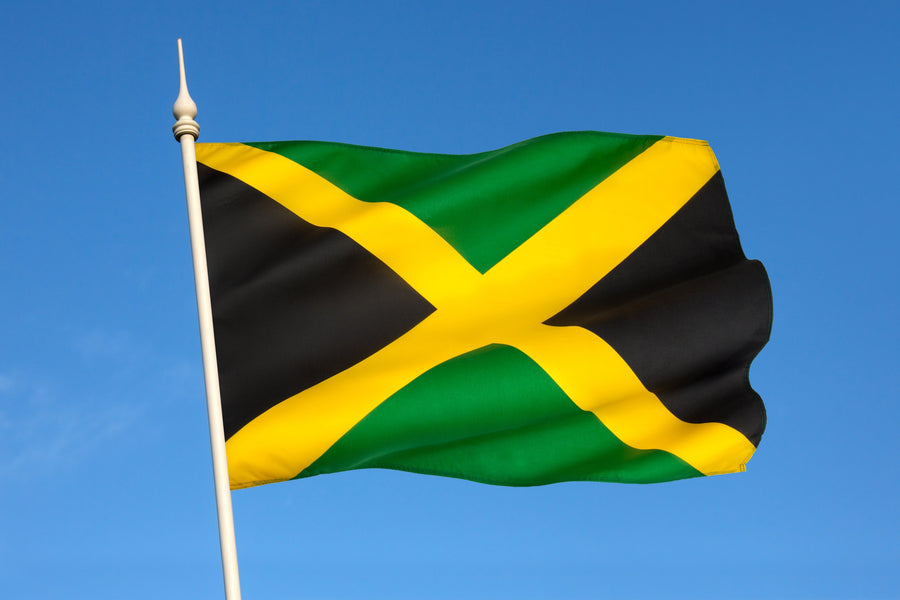 ¿Se puede conducir en Jamaica con un permiso de conducir extranjero?