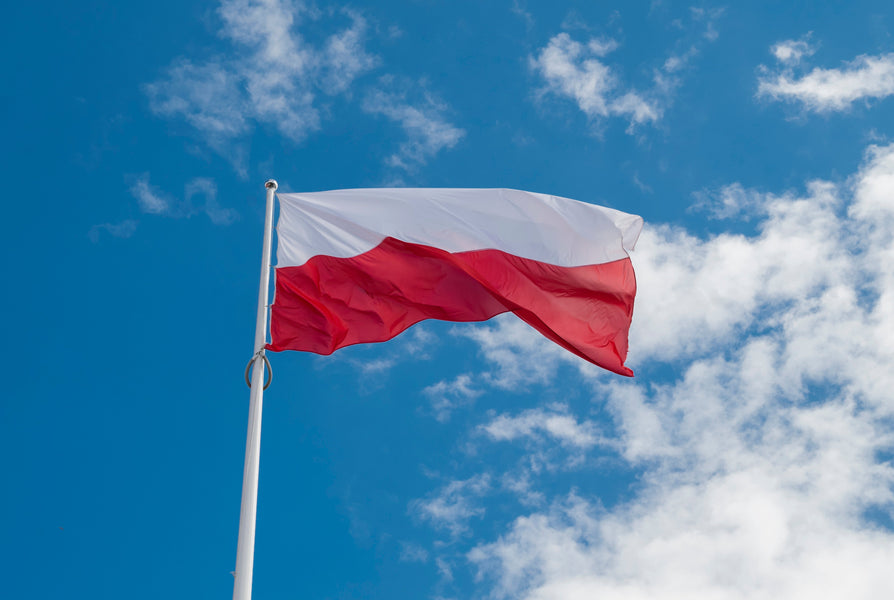 Permiso de conducir en Polonia (Guía completa para viajeros que desean alquilar un coche)