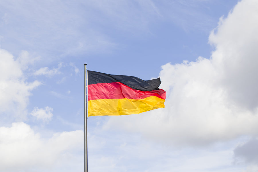 Conducir en Alemania con carné de EE.UU.: La guía definitiva para inquilinos
