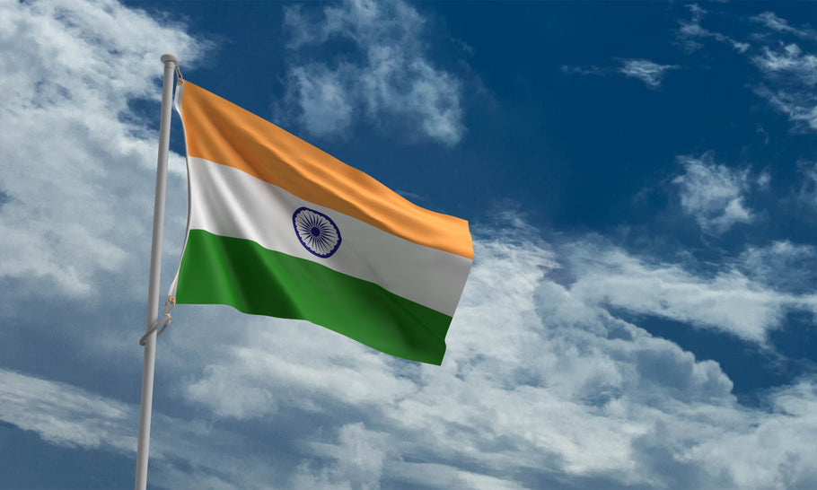 ¿Puedo conducir con un permiso extranjero en la India?