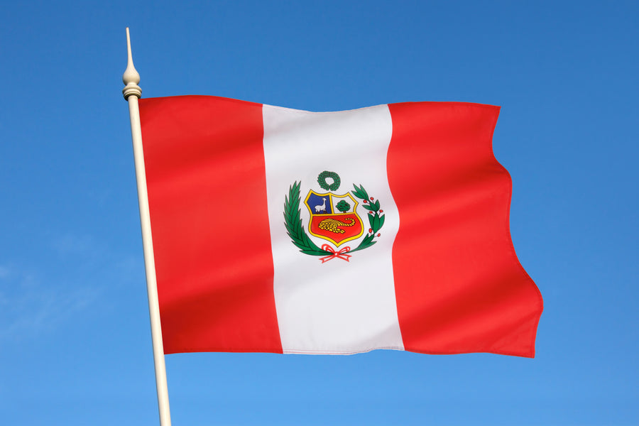 ¿Puedo conducir en Perú con carné de EE.UU.?