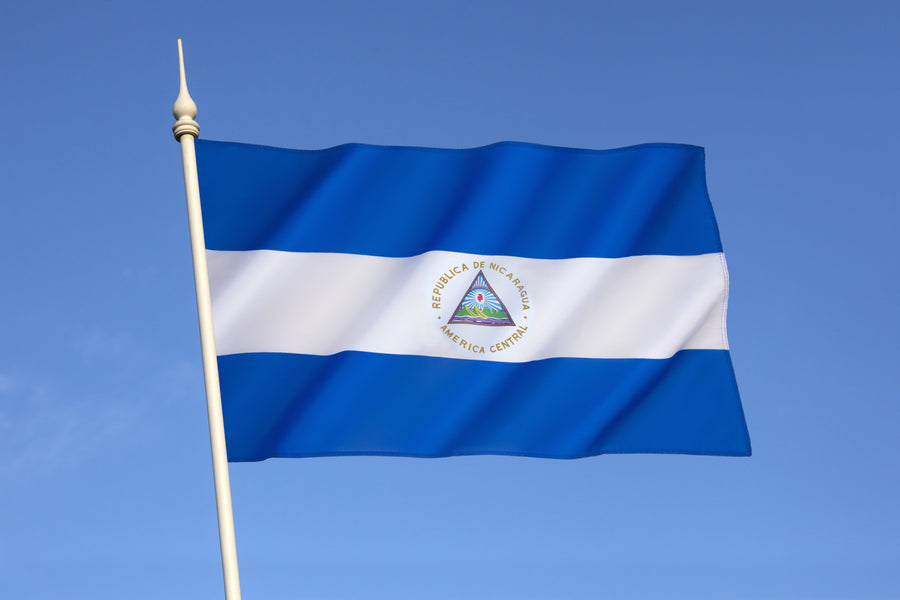 Licencia de Conducir en Nicaragua: Guía para viajeros internacionales que alquilan automóviles