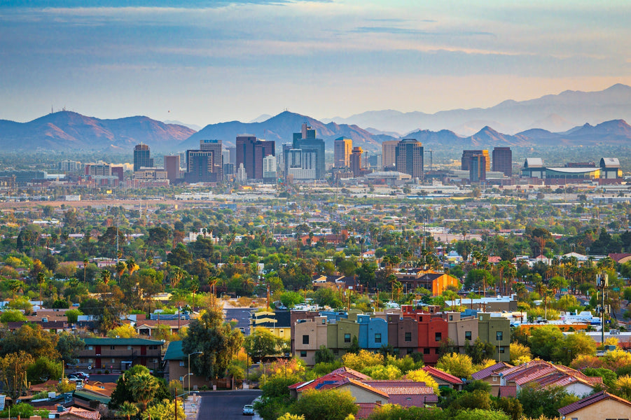 ¿Se puede conducir en Arizona con un permiso de conducir internacional?