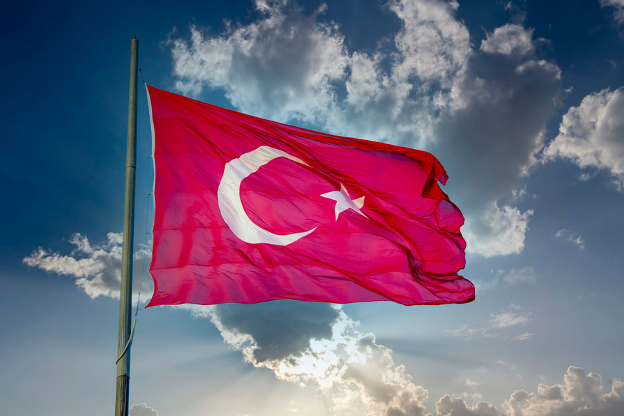 Cómo ser un buen conductor en Turquía (Guía práctica para viajeros)