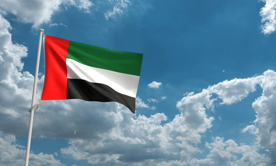 ¿Cómo conducir en los Emiratos Árabes Unidos?