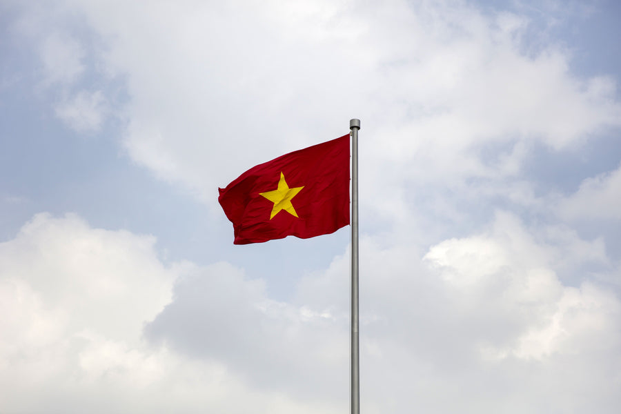 Permiso de conducir en Vietnam